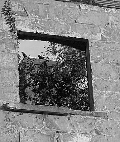 through a window at boom hall by eamonn mcginty